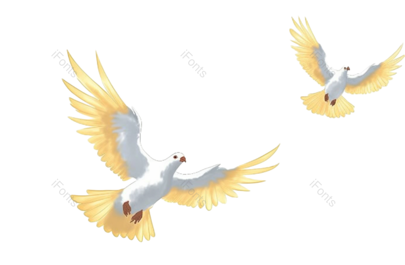 鸽子图片,插画元素,白色PNG,飞鸟免抠素材